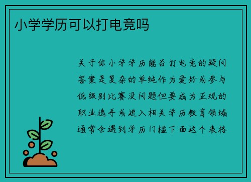 小学学历可以打电竞吗